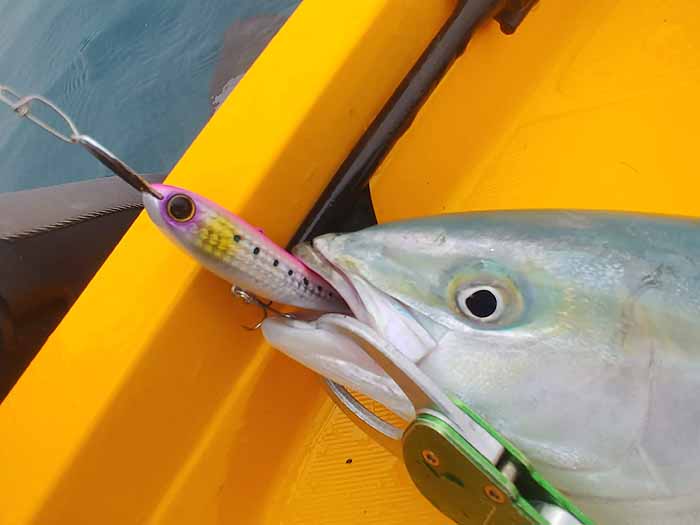 ダイペンで青物誘い出しなカヤックフィッシング | HOOKING・・・三重県伊勢志摩の釣りブログ